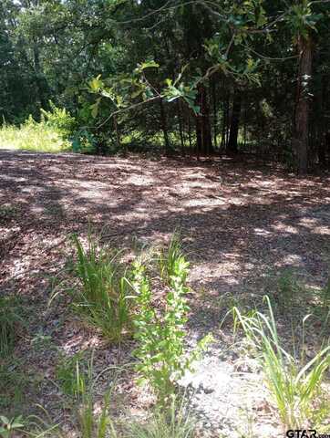 TBD Dogwood, Murchison, TX 75778