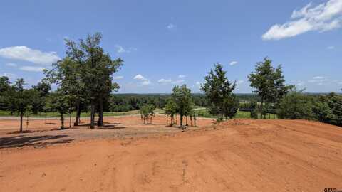 TBD Ridgeline Loop, Winona, TX 75792
