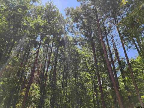 TBD CR 4114 #2 10.00 Acres, Hughes Springs, TX 75656