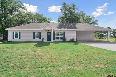 229 Eagles Landing, Winnsboro, TX 75494