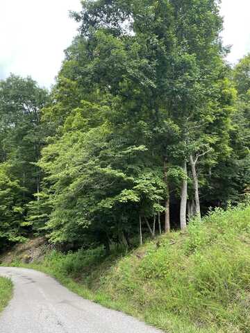 Lot 4 Moore Road, Lavalette, WV 25535