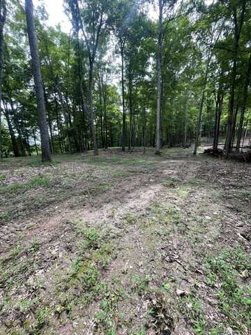Lot 2 Moore Road, Lavalette, WV 25535
