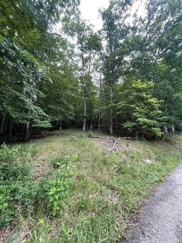 Lot 6 Moore Road, Lavalette, WV 25535