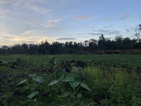 18-1585 VOLCANO RD, Volcano, HI 96785