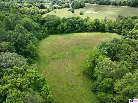 5579 Falls of Rough Road, Caneyville, KY 42721