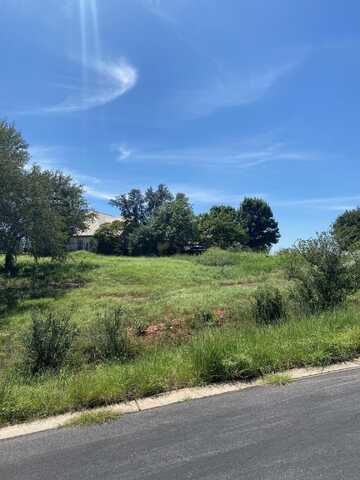 W25065 White Dove/Apache Tears, Horseshoe Bay, TX 78657