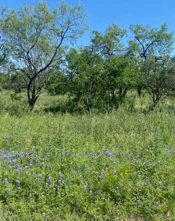 313 Sweetgrass, Horseshoe Bay, TX 78657