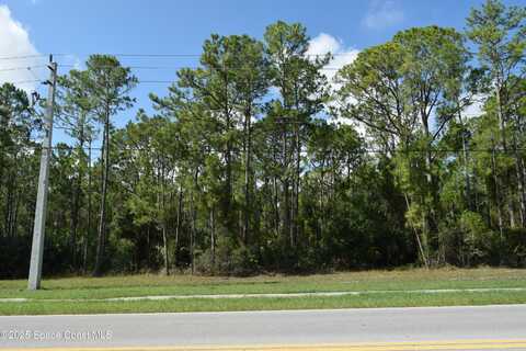 206 Emerson Drive NW, Palm Bay, FL 32907