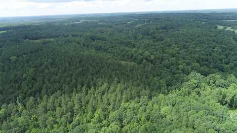 Genito Parkway, Jetersville, VA 23083
