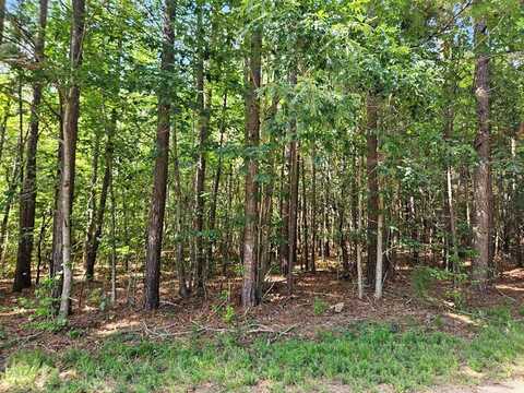 Twin Bridges Road, Green Bay, VA 23942