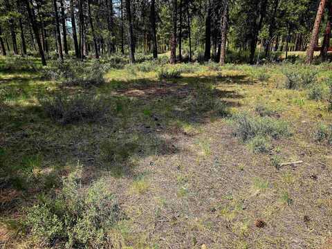 Tbd Victory Ln, Lowman, ID 83637