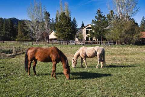 15 Skyline Lane, Garden Valley, ID 83622