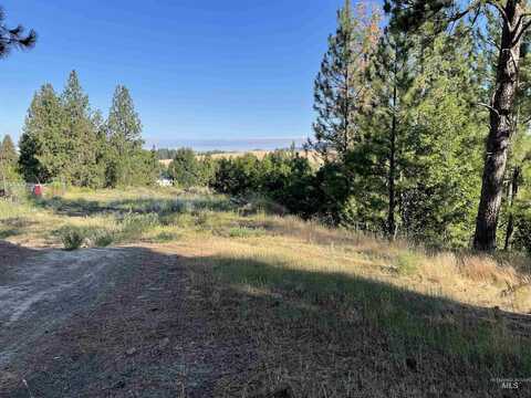 Nka Ponderosa Drive Lot 4, Potlatch, ID 83855