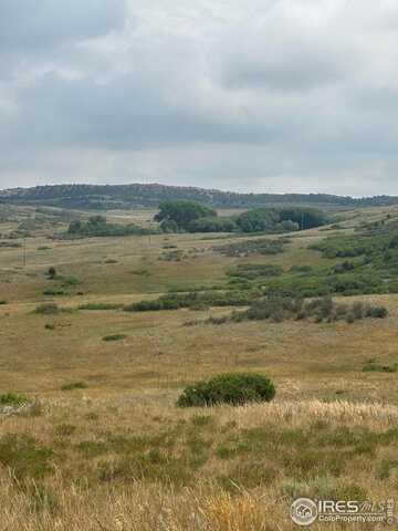 124 Springs Ranch Rd, Laporte, CO 80535