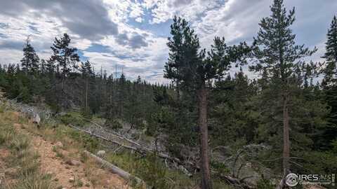 Pearl Creek Rd, Red Feather Lakes, CO 80545