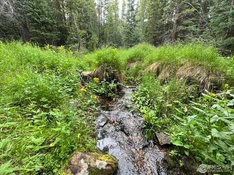 11 Pearl Creek Rd, Red Feather Lakes, CO 80545