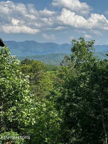 000 Vista Drive, Gatlinburg, TN 37738