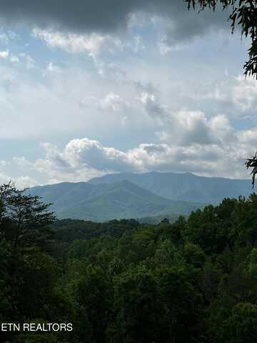 000 Powdermill Rd, Gatlinburg, TN 37738