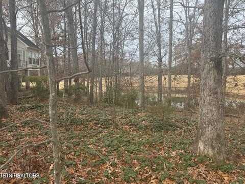129 Cayuga Drive, Loudon, TN 37774