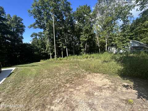 Lot 48 Cherokee Cove Estates, Rutledge, TN 37861