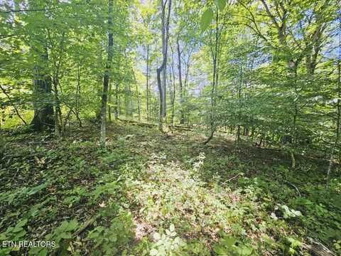 109 Odali Lane, Loudon, TN 37774