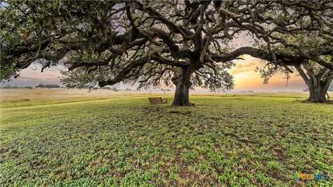 81 Private Road 3095, Shiner, TX 77984