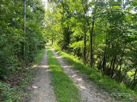 1232 Left Fork Joels Branch Road, Genoa, WV 25517