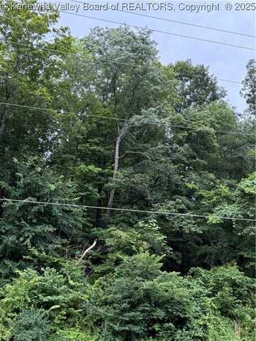 0 Round Bottom Road, Peytona, WV 25154