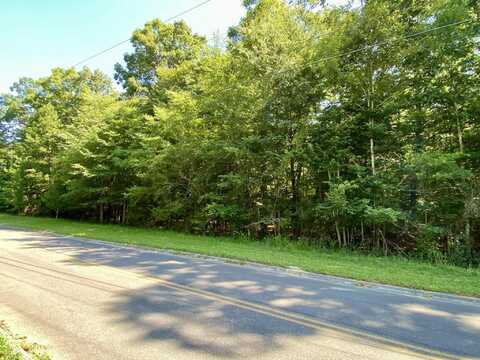 Lot 20 Plantation Point Drive, Dandridge, TN 37725
