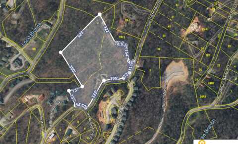 Lot 1,4-6 Old Cartertown Road, Gatlinburg, TN 37738