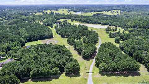 11398 SH 300, Gilmer, TX 75645