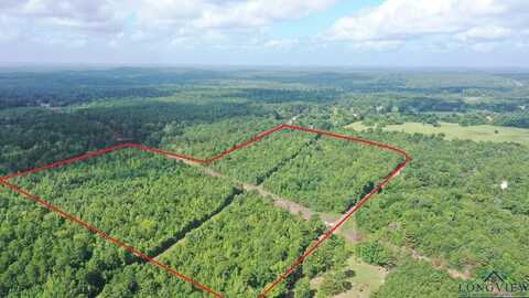CR 1617 (Liberty Church Rd), Avinger, TX 75630