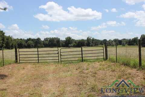19762 FM 2208, Harleton, TX 75651