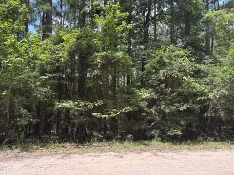 32595 Middlecoff, Brookeland, TX 75931