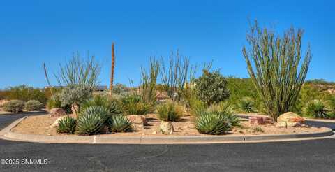 7009 Calle Arcos, Las Cruces, NM 88007
