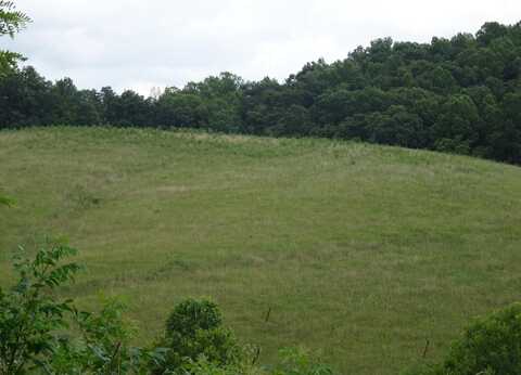521 Artville Road, Wellington, KY 40387