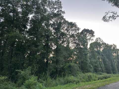TBD STRINGER ROAD, Seminary, MS 39479
