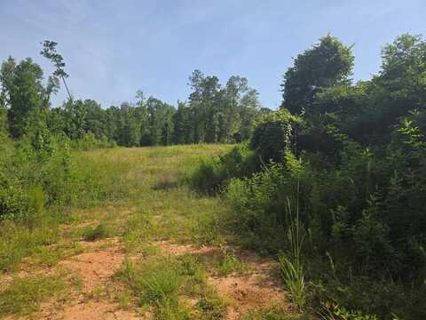 000 Browder Lane, Centreville, MS 39631