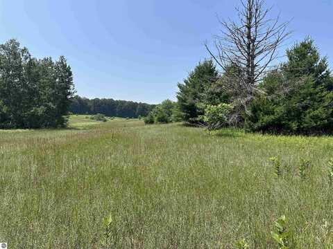 Parcel 1 Bright Road, Maple City, MI 49664