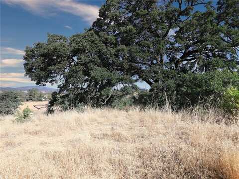 2425 Greeley Street, Nice, CA 95464