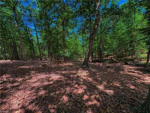 1560 Rocky Cove Lane, Denton, NC 27239