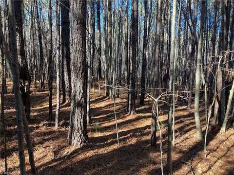 00 NC Highway 134 N, Star, NC 27356