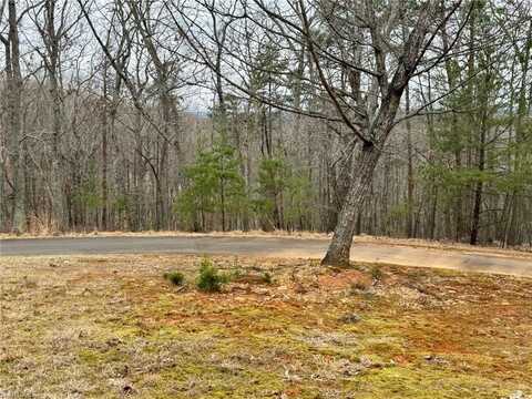 295 Cascading Creek Trail, Denton, NC 27239