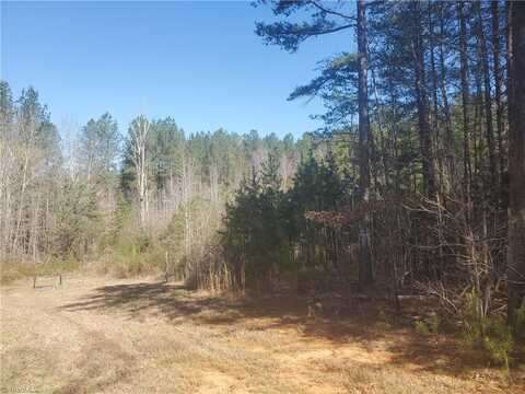 1969 Mulberry Academy Street, Franklinville, NC 27248