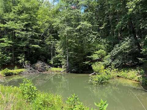Tbd Staghorn Road, Purlear, NC 28665