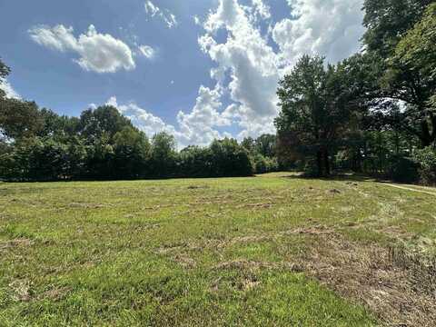 0 OLD L & N, Stanton, TN 38069