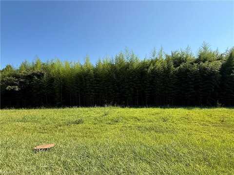 00 US Highway 311, Sophia, NC 27350