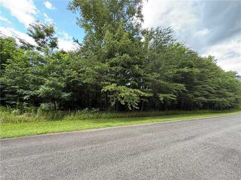 0 Apple Blossom Lane, Westfield, NC 27053