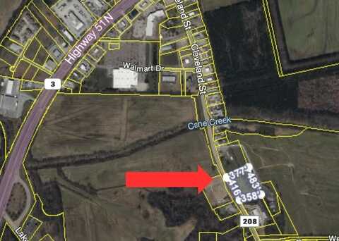 0 CLEVELAND, Ripley, TN 38063