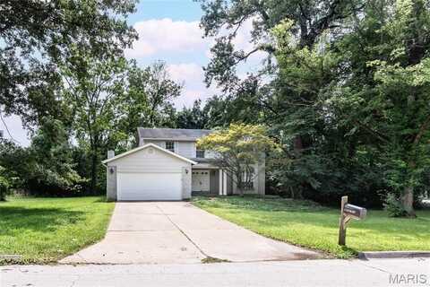 11330 Elzey Street, Saint Louis, MO 63141